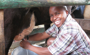 Discalced Carmelite friars in Kenya, like Brother Harrison Irungu, O.C.D., raise livestock  to support themselves. Work is an important part of Carmelite life.