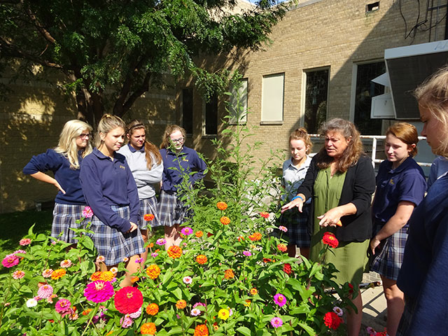 Sisters of Mercy of Nebraska