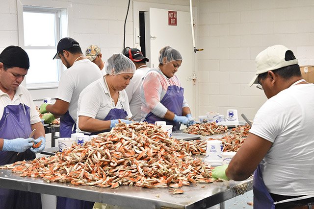 Workers in a crab processing plant