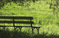 A bench in a beautiful natural setting